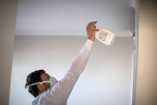 Best Mold Cleaning Services  in Palacios, TX