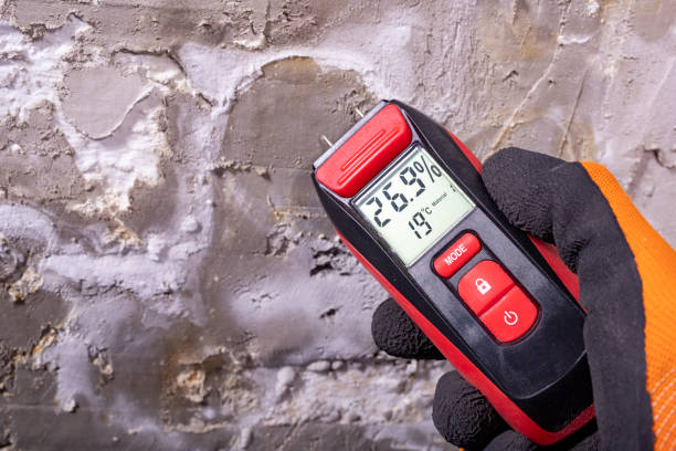Best Mold Inspection  in Palacios, TX